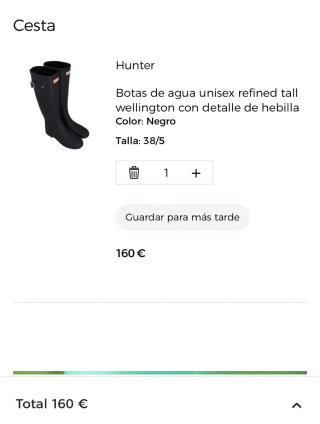 Botas de agua Hunter negras