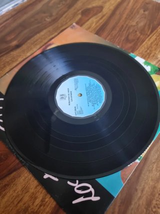 Vinilo Los Burros - Rebuznos de Amor