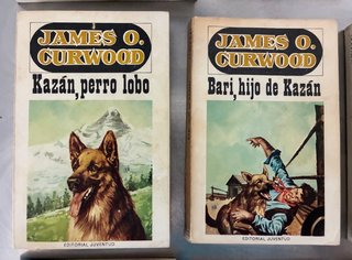 Libros variados (caja 17)