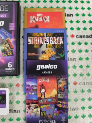 Evercade Gaelco Arcade 2