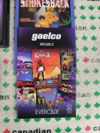 Evercade Gaelco Arcade 2