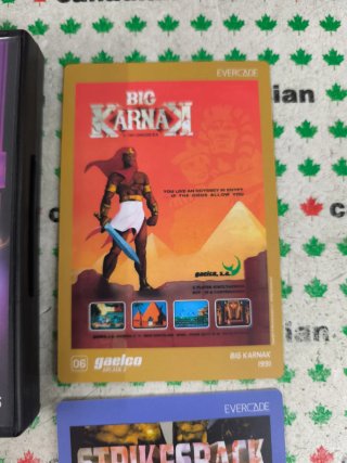 Evercade Gaelco Arcade 2