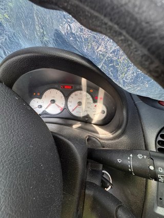 Peugeot 206 2005