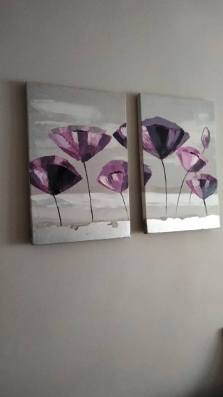 Lote 2 cuadros decorativos flores