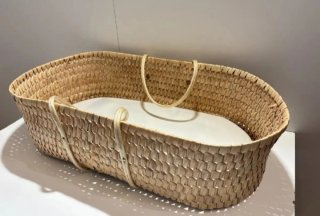 Cuna Moises Palma con Colchoneta