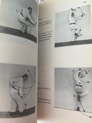 Kung Fu Manual Practico