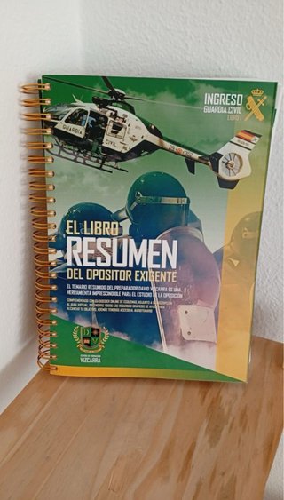 Libro resumen David Vizcarra GC