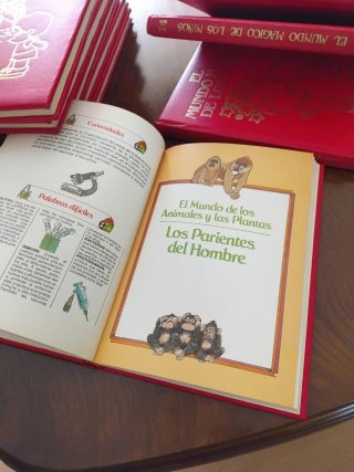 El mundo mágico de los niños