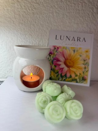 Caja Degustación Waxmelts