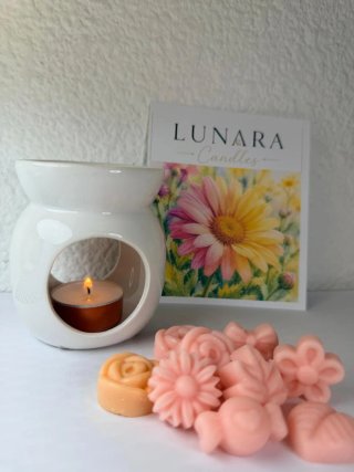Caja Degustación Waxmelts