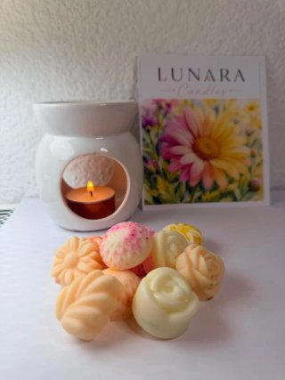 Caja Degustación Waxmelts