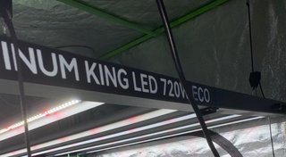 Lámpara LED Cultivo Platinum King 720W