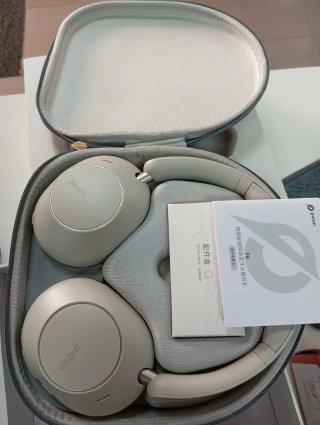 Auriculares Ficus Grises con Estuche