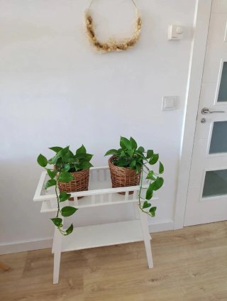 Mesa/jardinera