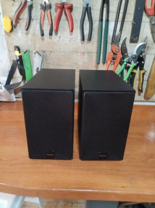 Altavoces Pioneer 15W x 2 (8 Ohms)