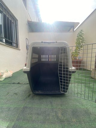 Transportín perro