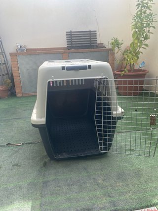 Transportín perro