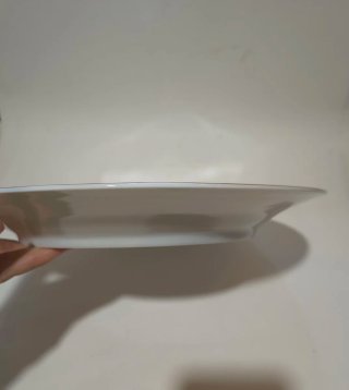 Piatto elegante in porcellana con stemma