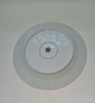 Piatto elegante in porcellana con stemma