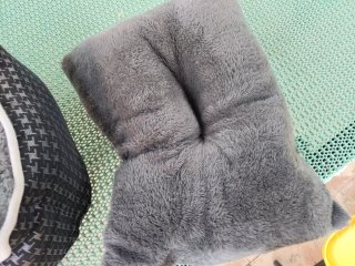 Cojín para perro pequeño