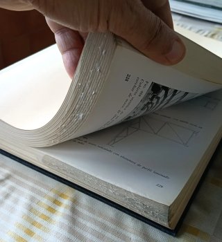 LTecnología de la Arquitectura. De A. Petrignani
