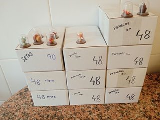 10 Scatole Miniatura in Legno 2cm
