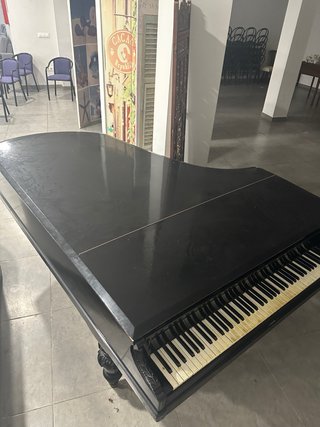 Piano de cola Pleyel Wolff & Cie París
