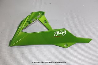 Oferta especial Carenado KAWASAKI Z250 Z 300 2015