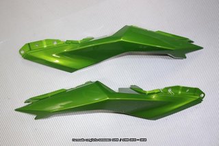 Oferta especial Carenado KAWASAKI Z250 Z 300 2015