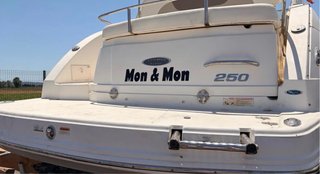 Chaparral Signature 250 - 2009 Z