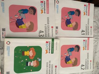 Lote de libros de 4º de Primaria. Incluye Vicens