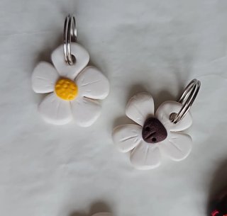 Chapas identificativas para perro