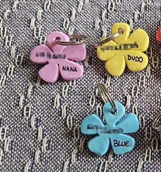 Chapas identificativas para perro