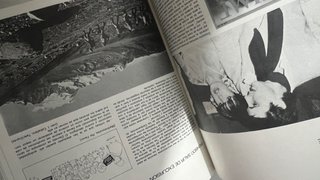 Radiografía del ‘75