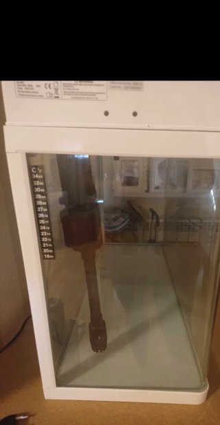 Acuario 100L Blanco
