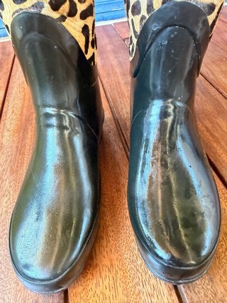Botas de agua Hunter Edición Limitada