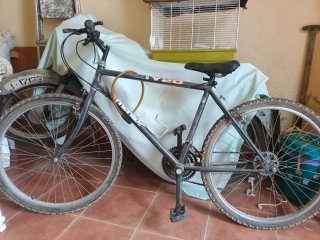 Bicicleta Vintage Y20