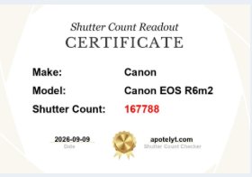 Canon EOS R6 Mark II — Perfecto estado