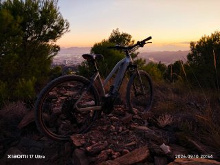 Cube Reaction Hybrid Pro 625 29 pulgadas bicicleta
