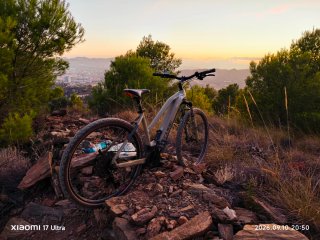 Cube Reaction Hybrid Pro 625 29 pulgadas bicicleta