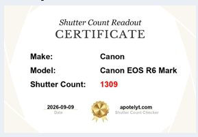 Canon EOS R6 Mark III — Perfecto estado