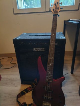 Bajo y amplificador