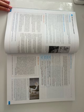 Historia de la Filosofía, 2 Bachillerato, Revuela