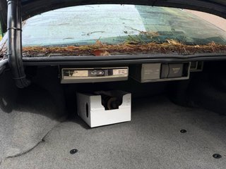 BMW Alpina B10 1992