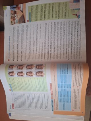 Lengua Castellana y Literatura