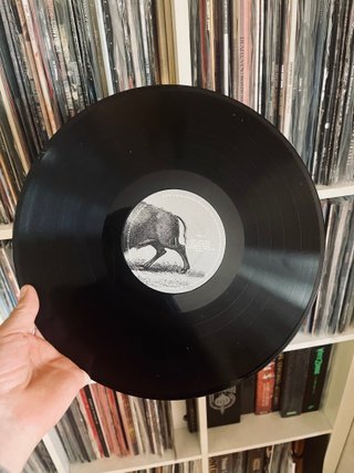 Vinilo Foo Fighters - In Your Honor
