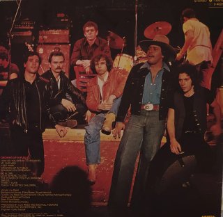 Vinilo LP Lou Reed - Growing Up In Public