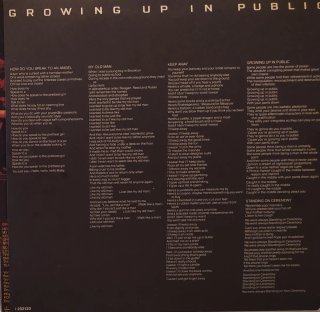 Vinilo LP Lou Reed - Growing Up In Public