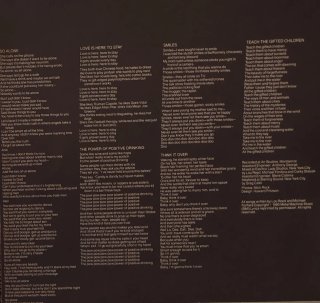 Vinilo LP Lou Reed - Growing Up In Public