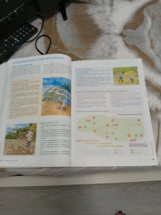 GEOGRAFIA I HISTORIA 3 (LC+QA+DIGITAL) SITUACIONS